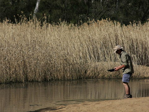 Wooldridge Recreation And Fossicking Reserve - Sunshine Coast Tourism 2