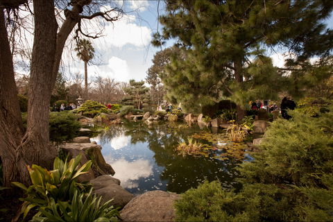 Adelaide Himeji Garden - Sunshine Coast Tourism 1