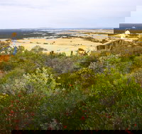Archer Drive Scenic Drive and Lookout - Sunshine Coast Tourism