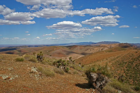 Arden Hills 4WD Track. - Sunshine Coast Tourism 0