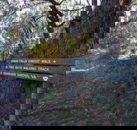 Arthurs Seat to Kings Falls Walk - Holiday Sunshine Coast