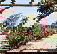 Australian Inland Botanic Gardens - Sunshine Coast Tourism