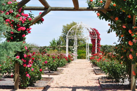 Australian Inland Botanic Gardens - Sunshine Coast Tourism 0