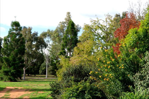 Australian Inland Botanic Gardens - Sunshine Coast Tourism 2