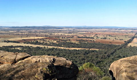 Basin Gully To Eualdrie Lookout Track - Holiday Sunshine Coast 0
