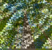 Big Sky National Parks - Holiday Sunshine Coast