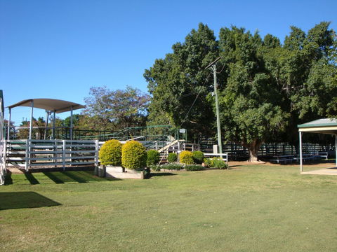 Blackall Saleyards - Sunshine Coast Tourism 1
