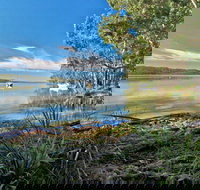 Black Oaks Picnic Area - Sunshine Coast Tourism