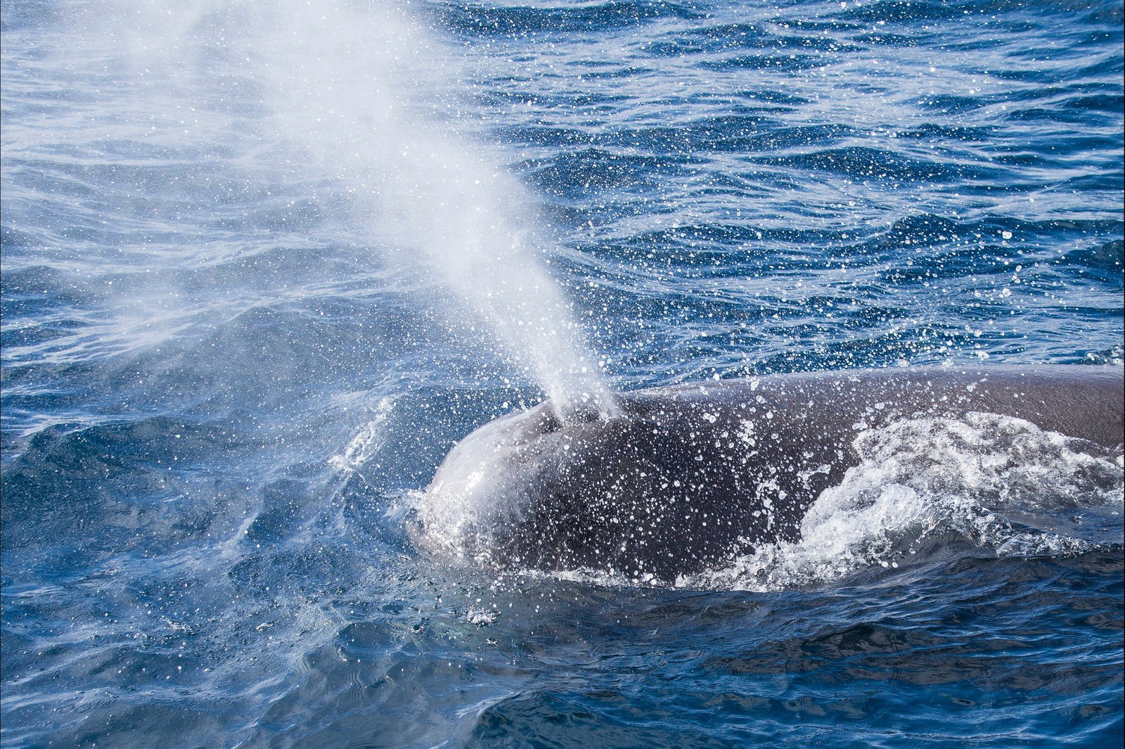  Holiday Sunshine Coast