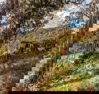Brindabella National Park - Sunshine Coast Tourism