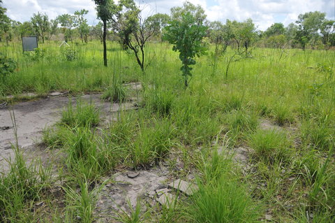Brocks Creek Chinatown And Temple Site - Holiday Sunshine Coast 2