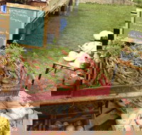 Burnie Farmers Market - Sunshine Coast Tourism