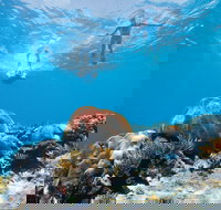 Capricorn Coast and Great Keppel Island Drive Itinerary - Sunshine Coast Tourism