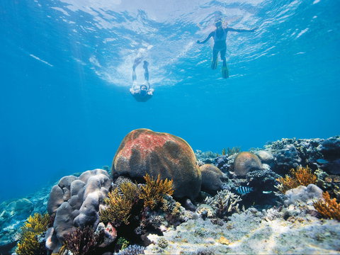 Capricorn Coast And Great Keppel Island Drive Itinerary - Holiday Sunshine Coast 0