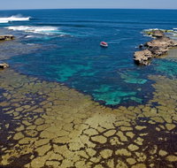 Cathedral Rocks Viewing Platform - Sunshine Coast Tourism