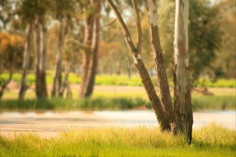 Cecil Plains To Tara Fishing Tour - Holiday Sunshine Coast 1
