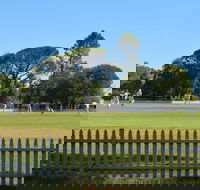 Cootamundra Cricketing Exploration - Sunshine Coast Tourism