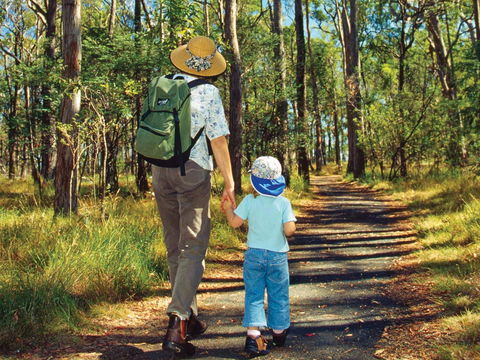 Daisy Hill - Sunshine Coast Tourism 2