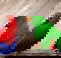 Denmark Dinosaur World - Sunshine Coast Tourism