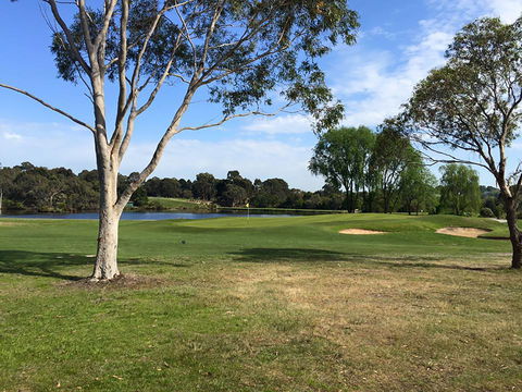 Devilbend Golf Club - Holiday Sunshine Coast 0