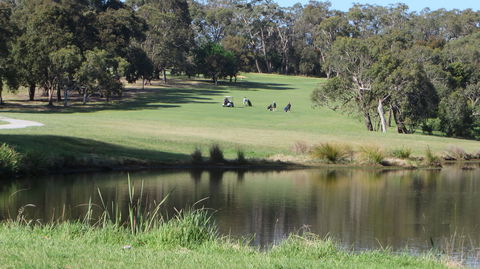Devilbend Golf Club - Holiday Sunshine Coast 1