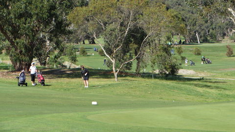 Devilbend Golf Club - Holiday Sunshine Coast 2