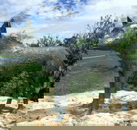 Dingo Statue - Sunshine Coast Tourism