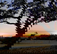 Eden Valley Lookout - Holiday Sunshine Coast