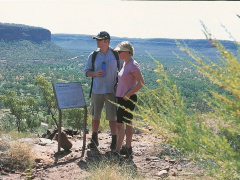 Escarpment Walk - Sunshine Coast Tourism 1