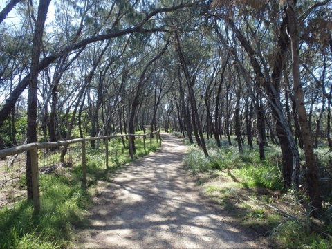 Federation Walk - Sunshine Coast Tourism 0