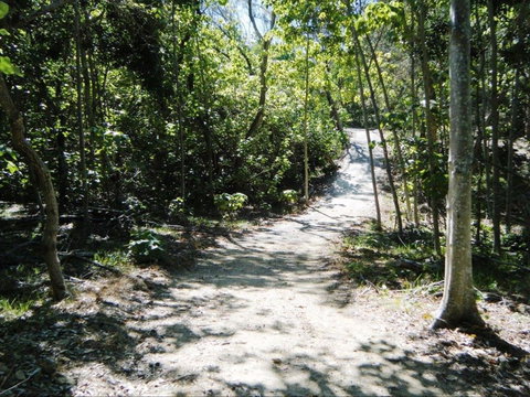 Federation Walk - Sunshine Coast Tourism 2