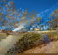 Freshwater Creek Track Byfield National Park - Sunshine Coast Tourism