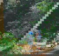 Gloucester National Park - Holiday Sunshine Coast