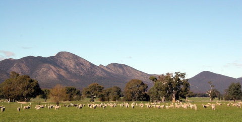 Grampians - Holiday Sunshine Coast 0