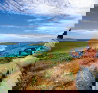 Great Ocean Drive - Holiday Sunshine Coast