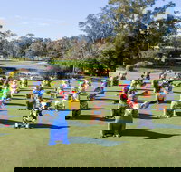 Hello Koalas Sculpture Trail - Sunshine Coast Tourism