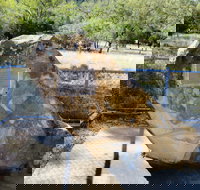 John Oxley Monument - Sunshine Coast Tourism