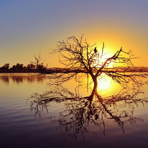 Lake Dyer - Sunshine Coast Tourism 0