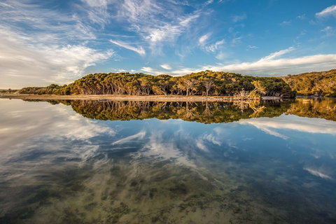 Lashmar Conservation Park - Sunshine Coast Tourism 0