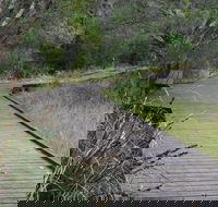 Leschenault Peninsula Conservation Park - Holiday Sunshine Coast