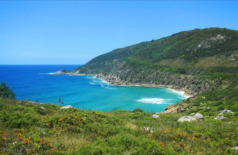 Little Bay Beach - Holiday Sunshine Coast 0