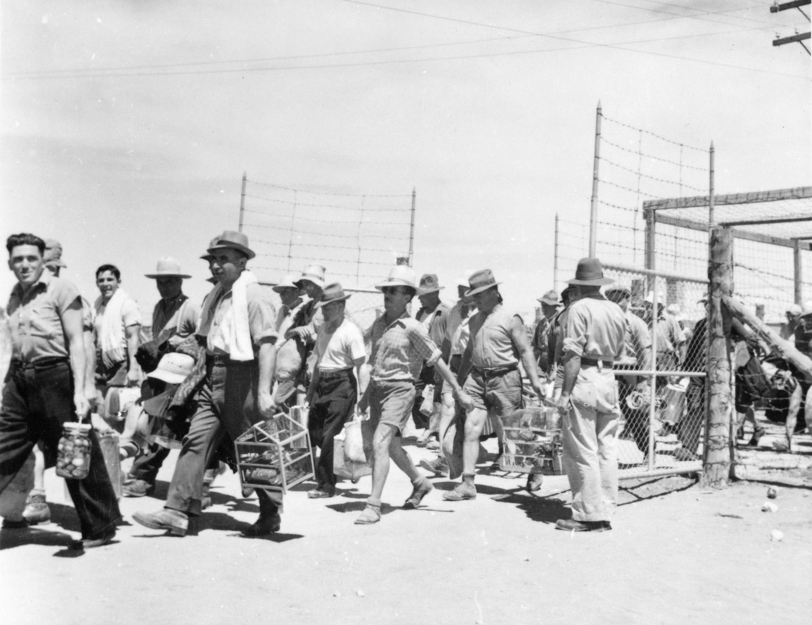 Loveday SA Sunshine Coast Tourism