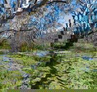 Macquarie Valley Trails - Holiday Sunshine Coast