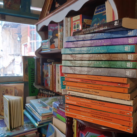 Marketta Lane - Sunshine Coast Tourism 0