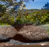 Marramarra Ridge to Smugglers Ridge walking track - Sunshine Coast Tourism