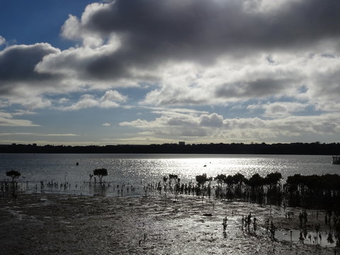 Marine Parade (Hastings Foreshore Reserve) Circuit - Cycling - Holiday Sunshine Coast 0