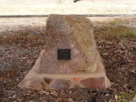 May Gibbs Tree - Sunshine Coast Tourism 0