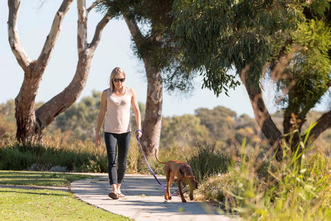 Meningie Walking And Cycling Trails - Holiday Sunshine Coast 0