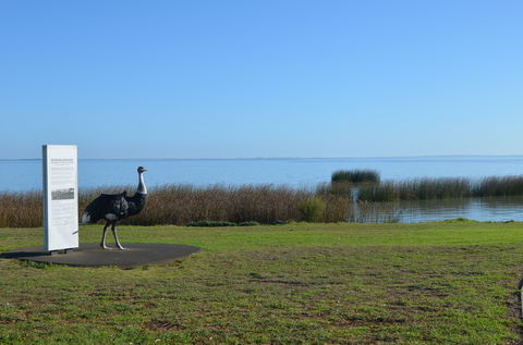Meningie Walking And Cycling Trails - Holiday Sunshine Coast 2