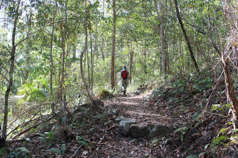 Morelia Walking Track, D'Aguilar National Park - Holiday Sunshine Coast 1